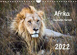 Kalender Afrika - Faszination Tierwelt (Wandkalender 2022 DIN A4 quer) von Horst Bentlage
