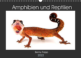 Kalender Amphibien und Reptilien (Wandkalender 2022 DIN A3 quer) von Benny Trapp