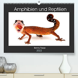Kalender Amphibien und Reptilien (Premium, hochwertiger DIN A2 Wandkalender 2022, Kunstdruck in Hochglanz) von Benny Trapp