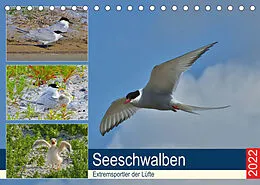 Kalender Seeschwalben - Extremsportler der Lüfte (Tischkalender 2022 DIN A5 quer) von René Schaack