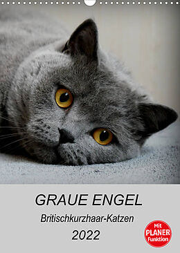 Kalender Graue Engel - Britischkurzhaar-Katzen (Wandkalender 2022 DIN A3 hoch) von Jacqueline Brumma / Jacky-fotos