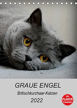 Kalender Graue Engel - Britischkurzhaar-Katzen (Tischkalender 2022 DIN A5 hoch) von Jacqueline Brumma / Jacky-fotos
