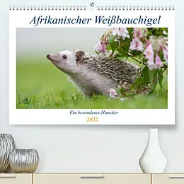 Kalender Afrikanische Weißbauchigel (Premium, hochwertiger DIN A2 Wandkalender 2022, Kunstdruck in Hochglanz) von Andreas und Marina Zimmermann Fotografie GbR