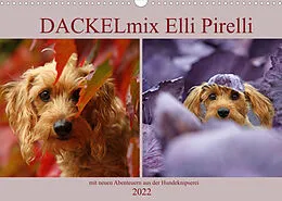 Kalender DACKELmix Elli Pirelli (Wandkalender 2022 DIN A3 quer) von Kathrin Köntopp
