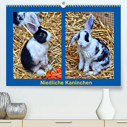 Kalender Niedliche Kaninchen (Premium, hochwertiger DIN A2 Wandkalender 2022, Kunstdruck in Hochglanz) von Kattobello