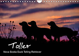 Kalender Toller - Nova Scotia Duck Tolling Retriever (Wandkalender 2022 DIN A4 quer) von Anna Auerbach