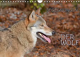 Kalender Begegnungen DER WOLF (Wandkalender 2022 DIN A4 quer) von GUGIGEI