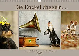 Kalender Die Dackel daggeln.... (Wandkalender 2022 DIN A3 quer) von Kathrin Köntopp