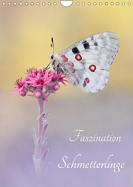 Kalender Faszination Schmetterlinge (Wandkalender 2022 DIN A4 hoch) von Marion Kraschl