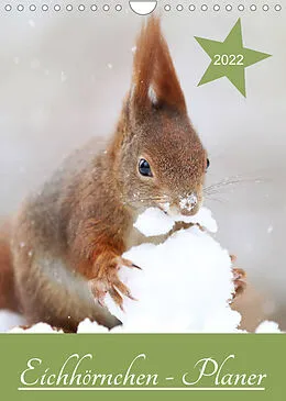 Kalender Eichhörnchen - Planer (Wandkalender 2022 DIN A4 hoch) von Birgit Cerny