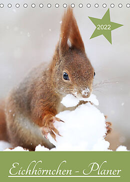 Kalender Eichhörnchen - Planer (Tischkalender 2022 DIN A5 hoch) von Birgit Cerny
