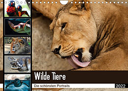 Kalender Wilde Tiere - Die schönsten Portraits (Wandkalender 2022 DIN A4 quer) von Sylke Enderlein - Bethari Bengals