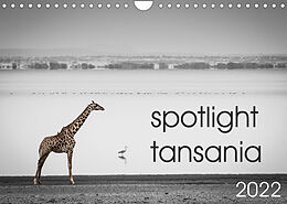 Kalender spotlight tansania (Wandkalender 2022 DIN A4 quer) von Carsten und Stefanie Krueger
