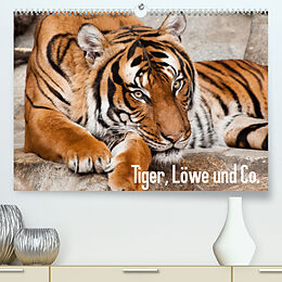 Kalender Tiger, Löwe und Co. (Premium, hochwertiger DIN A2 Wandkalender 2022, Kunstdruck in Hochglanz) von Sylke Enderlein - Bethari Bengals