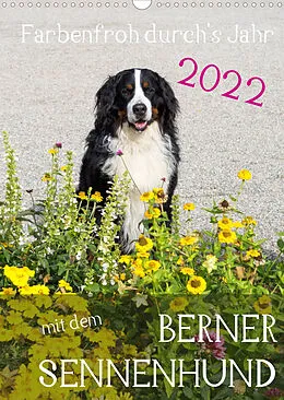 Kalender Farbenfroh durch's Jahr mit dem Berner Sennenhund (Wandkalender 2022 DIN A3 hoch) von Sonja Brenner
