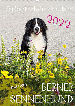 Kalender Farbenfroh durch's Jahr mit dem Berner Sennenhund (Wandkalender 2022 DIN A2 hoch) von Sonja Brenner
