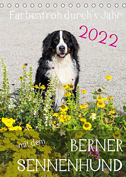 Kalender Farbenfroh durch's Jahr mit dem Berner Sennenhund (Tischkalender 2022 DIN A5 hoch) von Sonja Brenner
