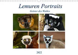 Kalender Lemuren Portraits (Wandkalender 2022 DIN A3 quer) von Matthias Markolf