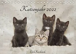Kalender Katzenjahr 2022 (Tischkalender 2022 DIN A5 quer) von Erich Ruczkowski