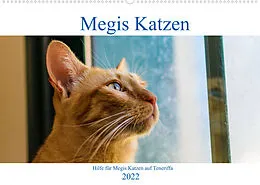 Kalender Megis Katzen (Wandkalender 2022 DIN A2 quer) von Megi Kovac