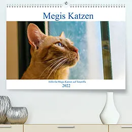 Kalender Megis Katzen (Premium, hochwertiger DIN A2 Wandkalender 2022, Kunstdruck in Hochglanz) von Megi Kovac