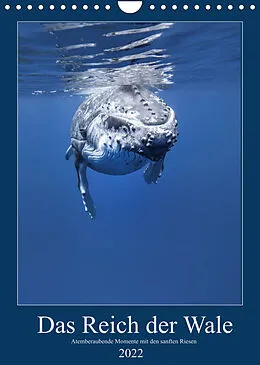 Kalender Im Reich der Wale (Wandkalender 2022 DIN A4 hoch) von Travelpixx.com