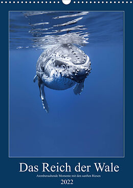 Kalender Im Reich der Wale (Wandkalender 2022 DIN A3 hoch) von Travelpixx.com