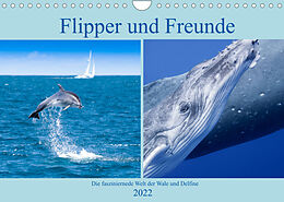 Kalender Flipper und Freunde (Wandkalender 2022 DIN A4 quer) von Travelpixx.com