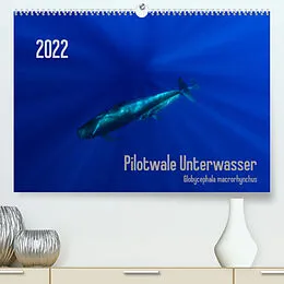 Kalender Pilotwale Unterwasser - Globicephala macrorhynchus (Premium, hochwertiger DIN A2 Wandkalender 2022, Kunstdruck in Hochglanz) von Claudia Weber-Gebert