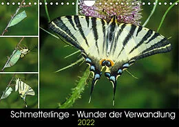 Kalender Schmetterlinge - Wunder der Verwandlung (Wandkalender 2022 DIN A4 quer) von Wilhelm Eisenreich