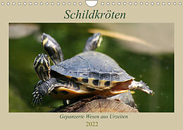 Kalender Schildkröten - Gepanzerte Wesen aus Urzeiten (Wandkalender 2022 DIN A4 quer) von Barbara Mielewczyk