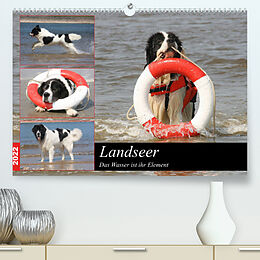 Kalender Landseer - Das Wasser ist ihr Element (Premium, hochwertiger DIN A2 Wandkalender 2022, Kunstdruck in Hochglanz) von Barbara Mielewczyk und Brigitte Weil