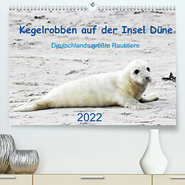 Kalender Kegelrobben auf der Insel Düne (Premium, hochwertiger DIN A2 Wandkalender 2022, Kunstdruck in Hochglanz) von N. Wilhelm