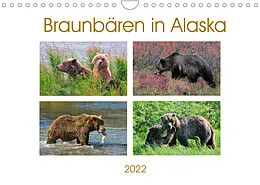Kalender Braunbären in Alaska (Wandkalender 2022 DIN A4 quer) von Dieter-M. Wilczek