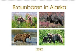 Kalender Braunbären in Alaska (Wandkalender 2022 DIN A2 quer) von Dieter-M. Wilczek