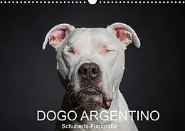 Kalender DOGO ARGENTINO (Wandkalender 2022 DIN A3 quer) von Schuberts-Fotografie