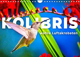 Kalender Kolibris - wahre Luftakrobaten (Wandkalender 2022 DIN A4 quer) von SF