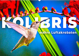 Kalender Kolibris - wahre Luftakrobaten (Wandkalender 2022 DIN A2 quer) von SF