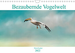 Kalender Bezaubernde VogelweltAT-Version (Wandkalender 2022 DIN A4 quer) von Petra Fischer