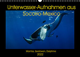 Kalender Unterwasser-Aufnahmen aus Socorro-Mexico (Wandkalender 2022 DIN A3 quer) von Sascha Caballero