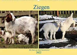 Kalender Ziegen - Die Stars aus dem Streichelzoo (Wandkalender 2022 DIN A2 quer) von Arno Klatt