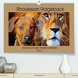 Kalender Rhodesian Ridgeback der Hund mit dem Tropfen Löwenblut (Premium, hochwertiger DIN A2 Wandkalender 2022, Kunstdruck in Hochglanz) von Dagmar Behrens
