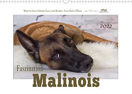 Kalender Faszination Malinois (Wandkalender 2022 DIN A3 quer) von Martina Wrede
