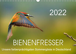 Kalender Bienenfresser, unsere farbenprächtigsten Sommergäste in Deutschland (Wandkalender 2022 DIN A3 quer) von Thomas Will