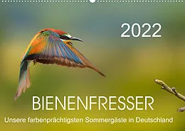 Kalender Bienenfresser, unsere farbenprächtigsten Sommergäste in Deutschland (Wandkalender 2022 DIN A2 quer) von Thomas Will