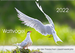 Kalender Wattvögel an der Friesischen IJsselmeerküste (Wandkalender 2022 DIN A2 quer) von Thomas Will