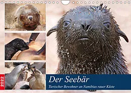 Kalender Der Seebär 2022 (Wandkalender 2022 DIN A4 quer) von Wibke Woyke