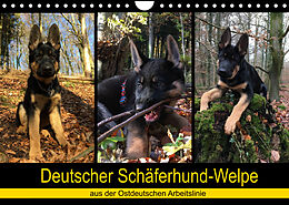 Kalender Deutscher Schäferhund-Welpe - aus der Ostdeutschen Arbeitslinie (Wandkalender 2022 DIN A4 quer) von Tanja Riedel