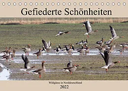 Kalender Gefiederte Schönheiten - Wildgänse in Norddeutschland (Tischkalender 2022 DIN A5 quer) von Rolf Pötsch