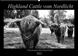 Kalender Highland Cattle vom Nordlicht - Faszination Hochland Rind (Wandkalender 2022 DIN A2 quer) von Katharina Knab
